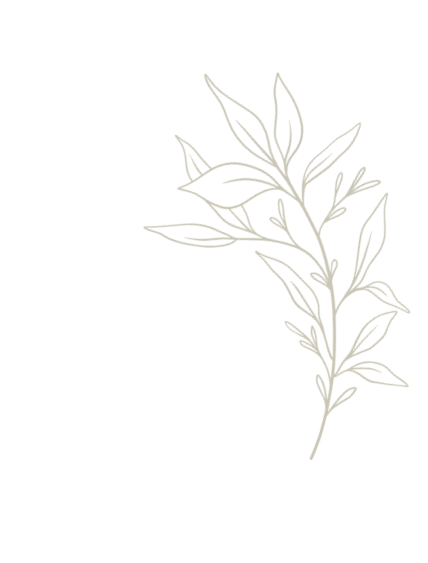 leaves lineart